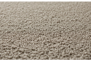 Lavamoquette professionale