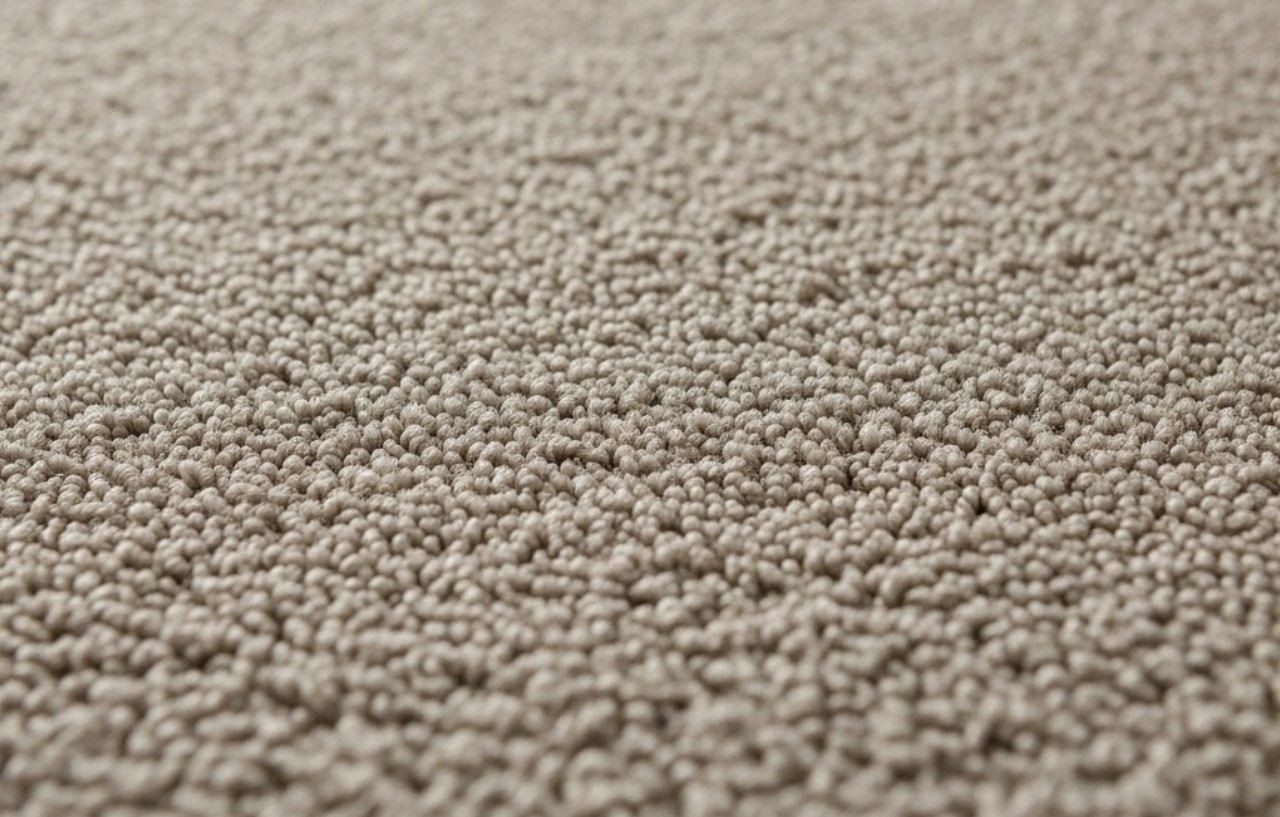 Lavamoquette professionale